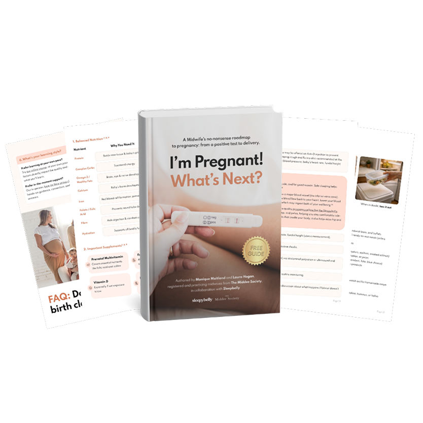 Preview of inside pages of I'm Pregnant! What's Next? guide